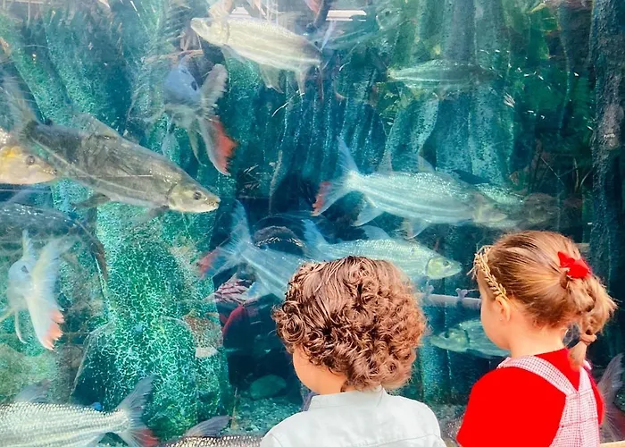 公寓 Numancia1- 1a 大加那利岛拉斯帕尔马斯