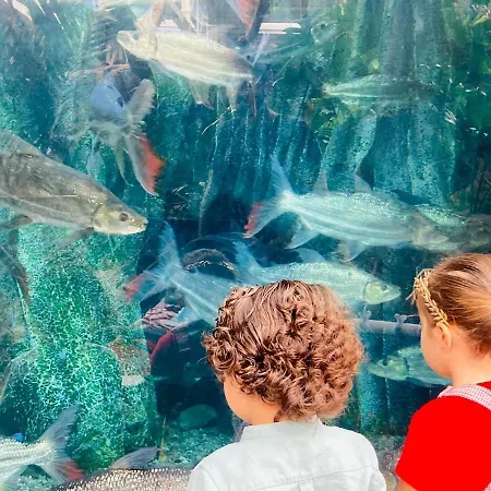 Appartement Numancia1- 1a Las Palmas de Gran Canaria