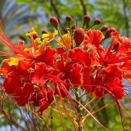 Appartement Numancia1- 1a